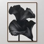 Noir Bloom Abstract Canvas Art showcases two bold, dark abstract calla lilies with flowing petals on a white background—a striking minimalist piece for modern living room decor.