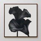 The Noir Bloom Canvas Art - Square features a framed black and white illustration of two calla lilies with detailed petals on a light background, creating striking minimalist wall art ideal for modern living room decor.