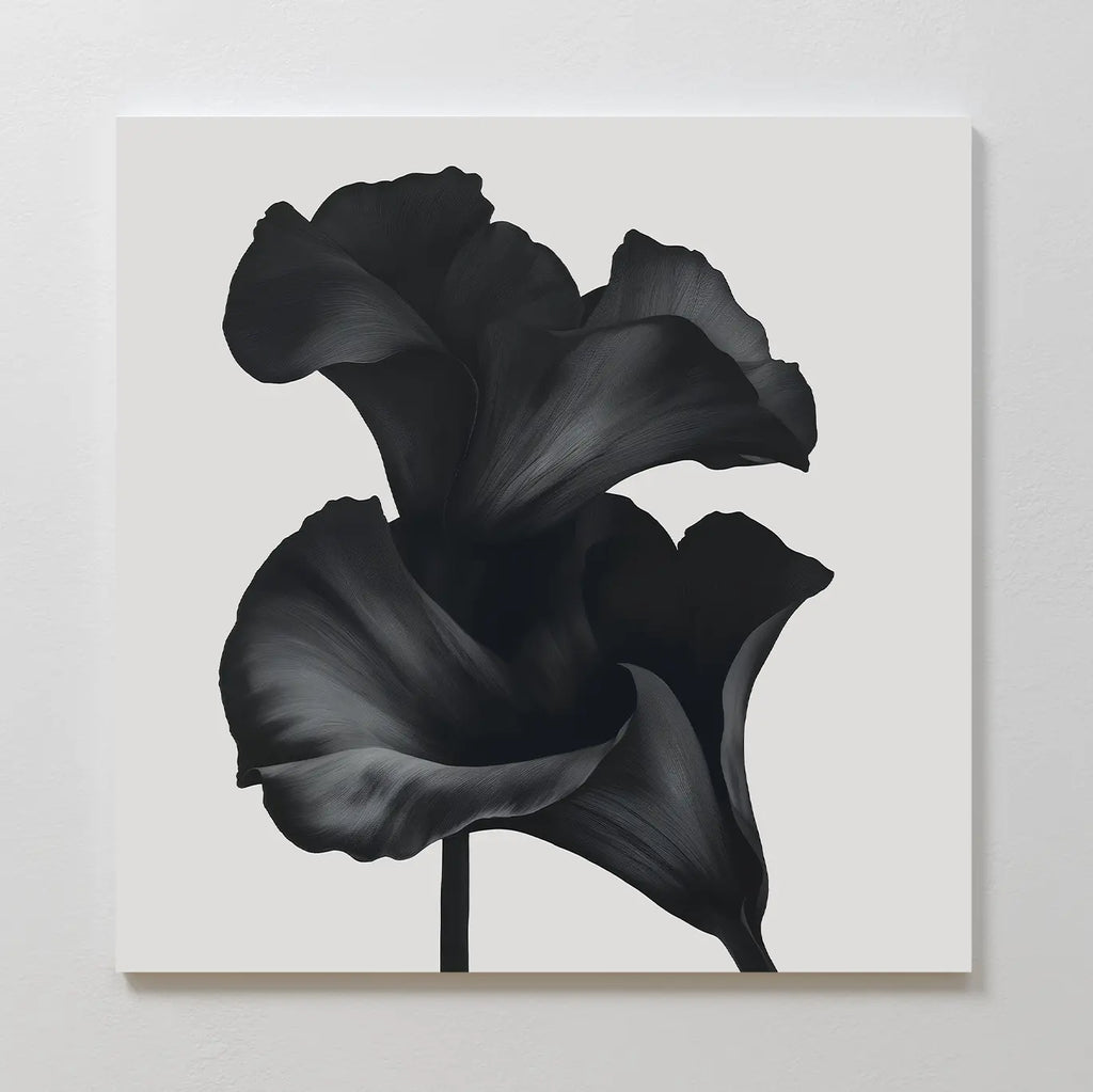 Noir Bloom Canvas Art - Square features two black calla lilies with softly shaded petals on a white background—a perfect piece of minimalist wall art for modern living room decor.