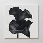 Noir Bloom Canvas Art - Square features two black calla lilies with softly shaded petals on a white background—a perfect piece of minimalist wall art for modern living room decor.