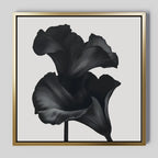 The Noir Bloom Canvas Art - Square features a close-up of dark calla lilies on a light gray background, accented with a sleek gold frame—ideal minimalist wall art for modern living room decor.