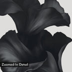 Noir Bloom Abstract Canvas Art features a close-up of black, flowing petals with smooth curves and subtle highlights on a light background. "Zoomed-In Detail" appears in the bottom left, making this minimalist piece ideal for sophisticated living rooms.