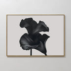 Noir Bloom Canvas Art – Horizontal features two large black calla lilies with overlapping petals on a light gray background, framed in slim gold—an ideal minimalist wall art piece for modern living room decor.