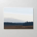 The Northern Woods Canvas Art displays a minimalist brown field, dark evergreen trees evoking a Nordic park, and a pale cloudy sky, elegantly hung on a plain white wall.
