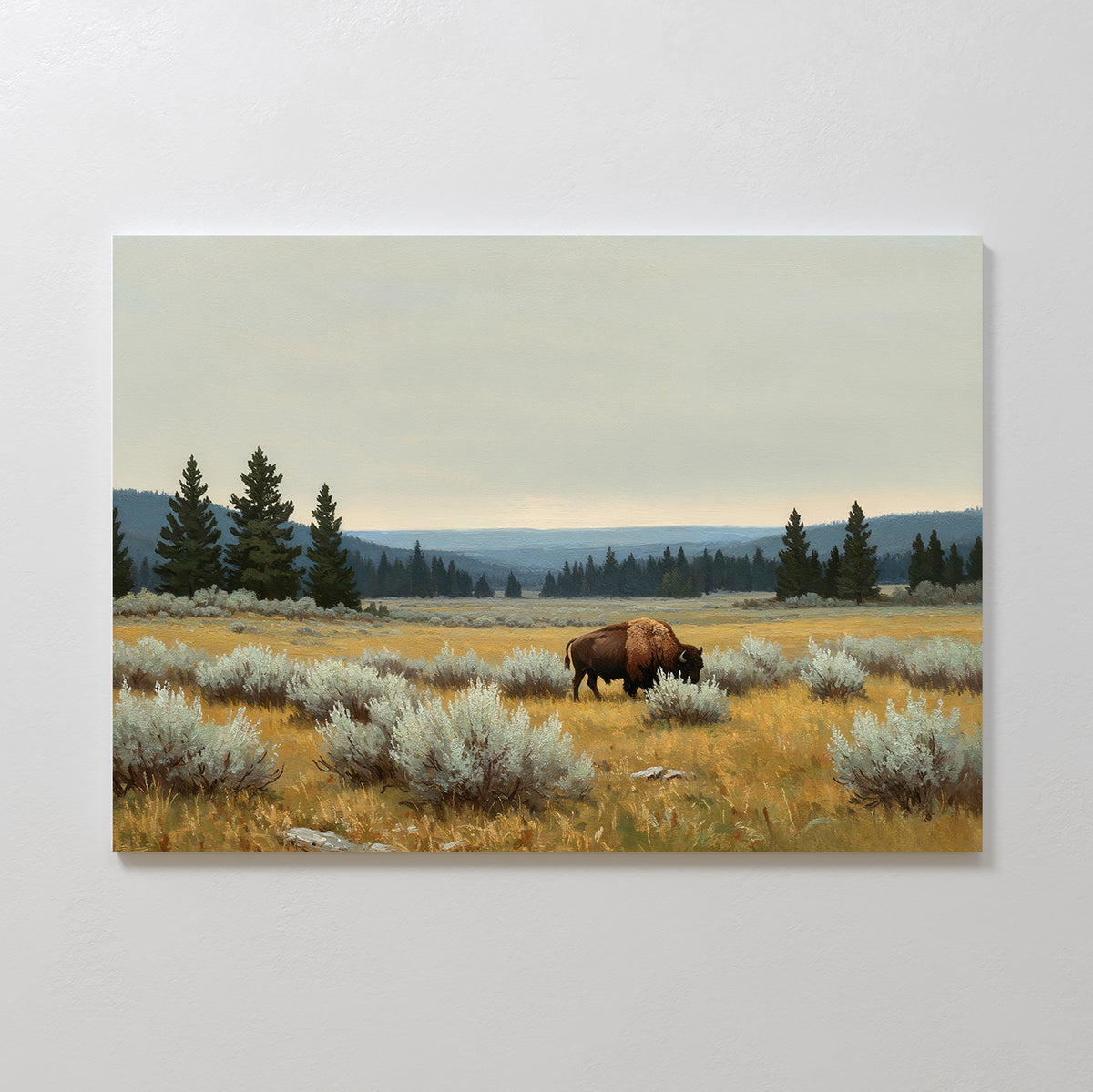 Prairie Silence Canvas Art features a lone bison grazing among sagebrush, evergreens, and rolling hills under a cloudy sky—ideal prairie wall art for nature-inspired decor.