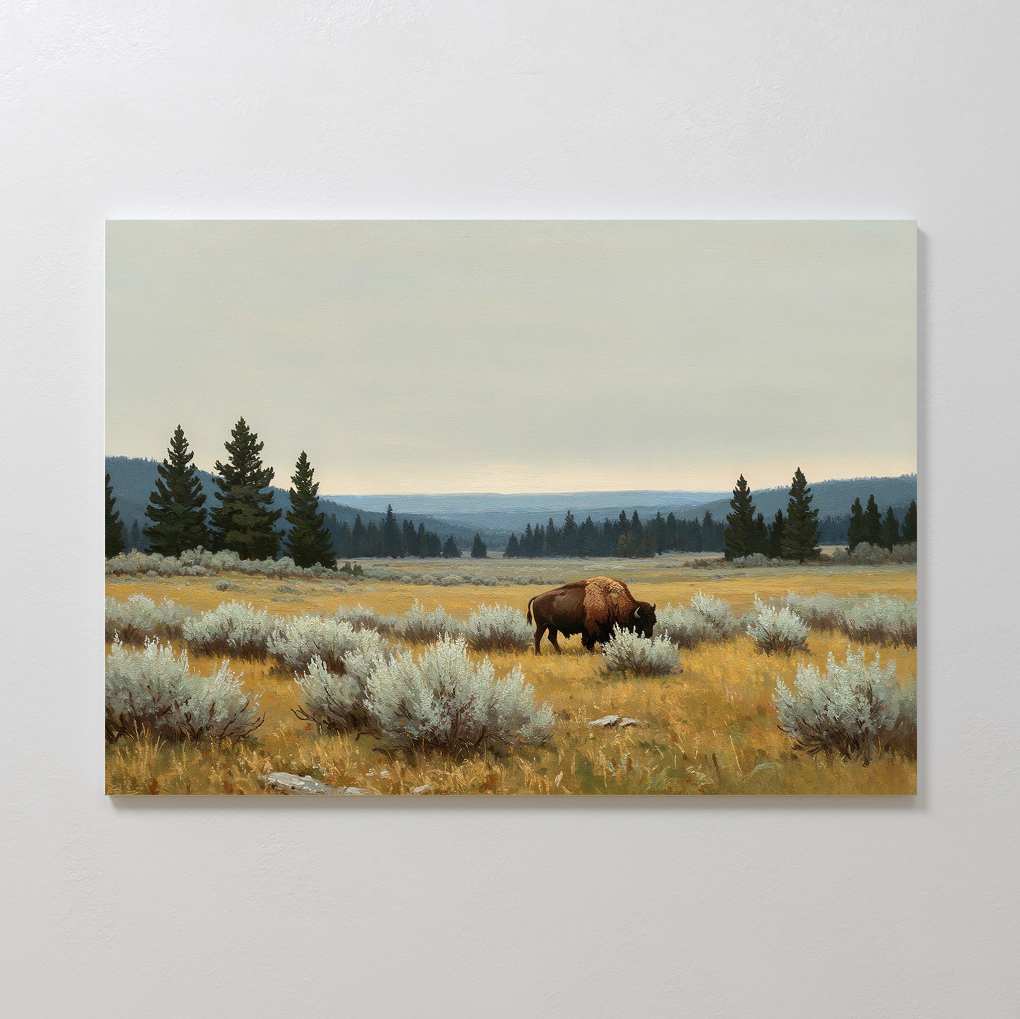 Prairie Silence Canvas Art features a lone bison grazing among sagebrush, evergreens, and rolling hills under a cloudy sky—ideal prairie wall art for nature-inspired decor.