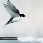 Quiet Flight Canvas Art features a watercolor-style black and white bird in flight against a pale, cloudy sky. Ideal for minimalist or Nordic wall decor. Includes a "Zoomed-In Detail" label in the lower-left corner.