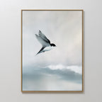 The Quiet Flight Canvas Art features a black and white bird soaring over soft blue and white clouds, making it the perfect minimalist wall decor to enhance any light-colored space.
