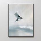 Quiet Flight Canvas Art captures a black and white bird soaring against a soft, cloudy sky in blue and gray tones—ideal minimalist wall decor for creating a tranquil Nordic Park atmosphere in any space.