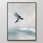 The Quiet Flight Canvas Art features a black and white swallow soaring over soft, cloudy skies with a serene minimal backdrop—ideal for Nordic Park style or minimalist wall decor.