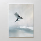 Quiet Flight Canvas Art features a black and white bird soaring above soft, cloudy skies with a muted background—ideal as minimalist wall decor or serene wall art for your Nordic Park-inspired space.