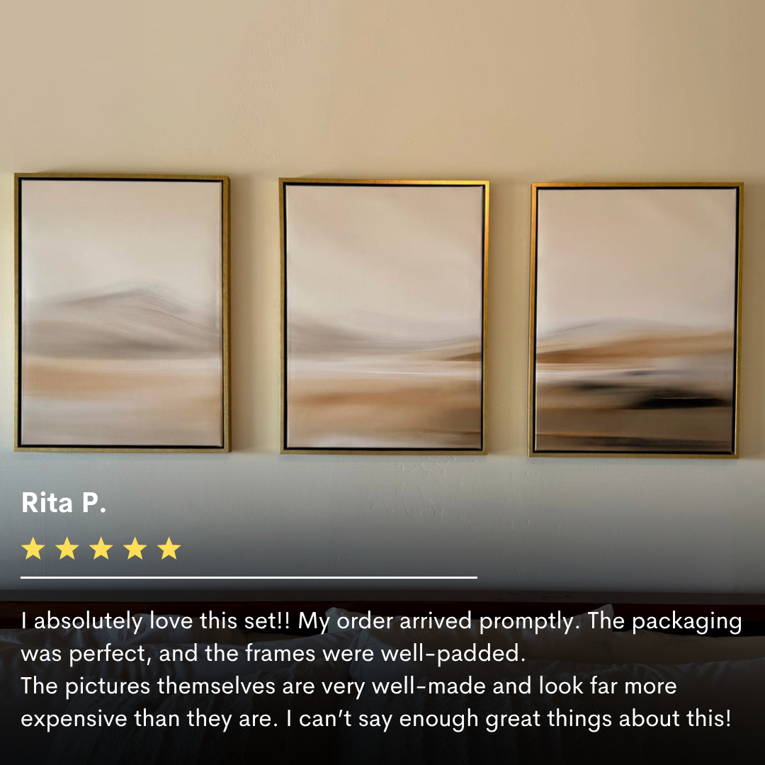The Desert Haze Set of 3 features abstract wall art in gold frames, ideal for minimalist decor. Rita P.’s five-star review highlights the set’s quality, secure packaging, and stylish touch to her living room.