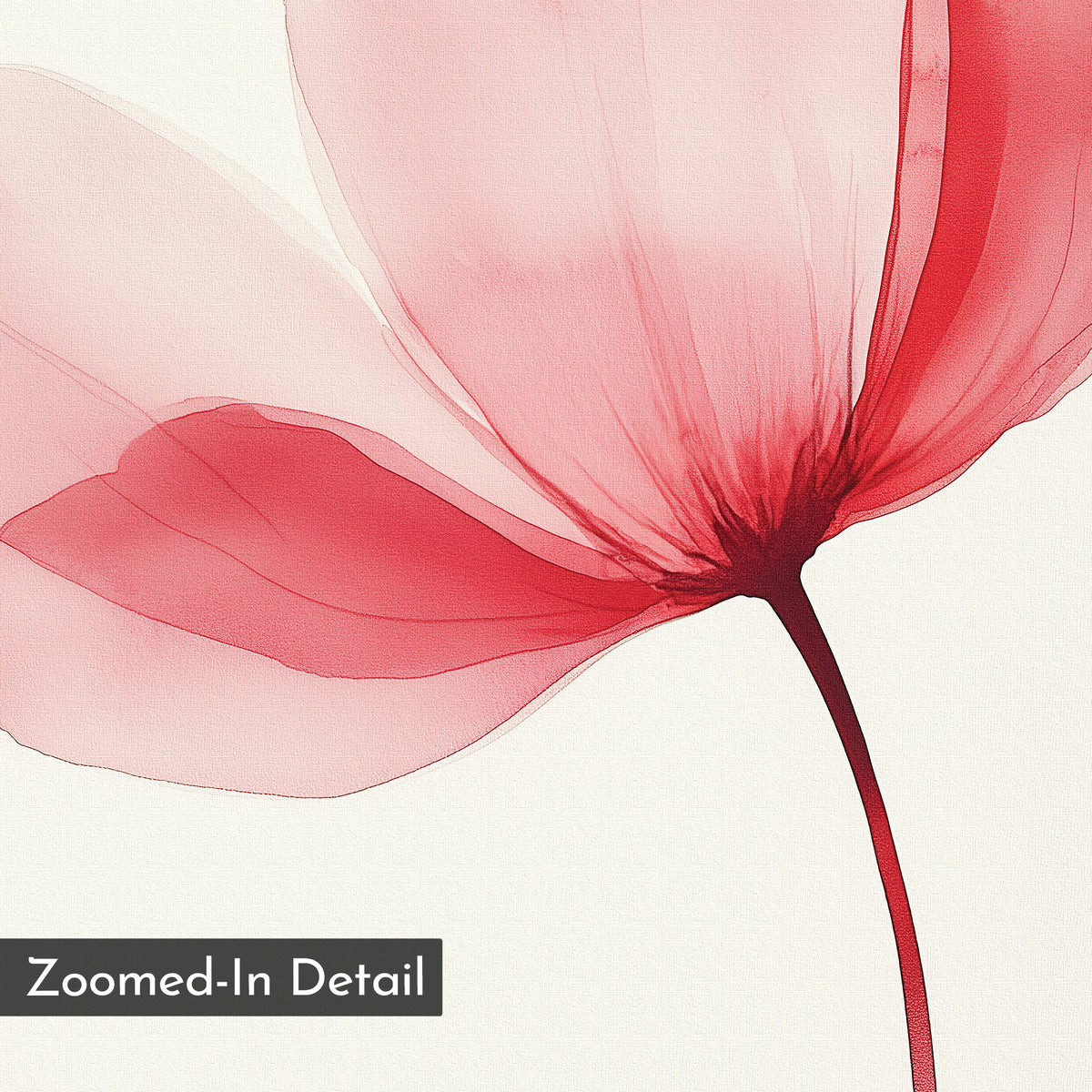 A close-up of a delicate, translucent pink flower with fine, dark lines on a light background. The thin, curved stem makes Single Bloom Canvas Art ideal for minimalist or floral wall art in elegant bedroom decor. Zoomed-In Detail label shown.