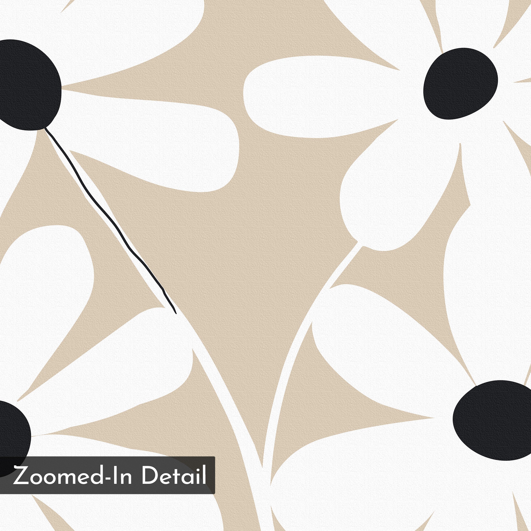 A close-up of White Blooms Canvas Art highlights large white flowers with black centers on a textured beige background. A diagonal black line adds contrast, with a “Zoomed-In Detail” label—ideal for modern botanical decor.
