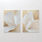 The White Flora Set of 2 features side-by-side canvas art, each depicting close-up soft white flora on a creamy beige background for gentle botanical wall decor with an abstract floral touch.