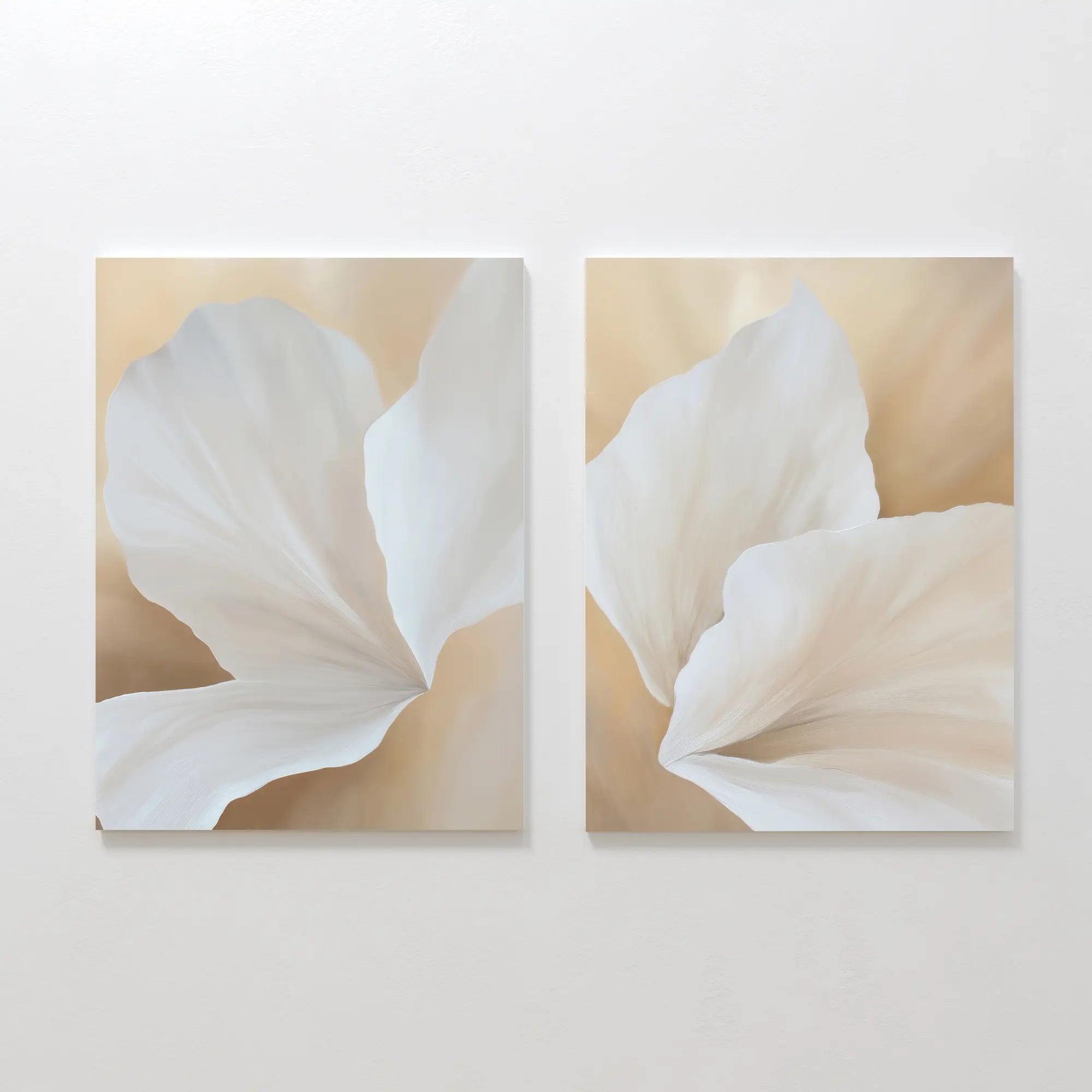 The White Flora Set of 2 features side-by-side canvas art, each depicting close-up soft white flora on a creamy beige background for gentle botanical wall decor with an abstract floral touch.