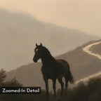 A dark horse stands in silhouette against misty, rolling hills with a winding path behind, captured in a soft, painted style. Atmospheric and evocative, this wall art is titled "Winding Trail Canvas Art." A label reads: Zoomed-In Detail.