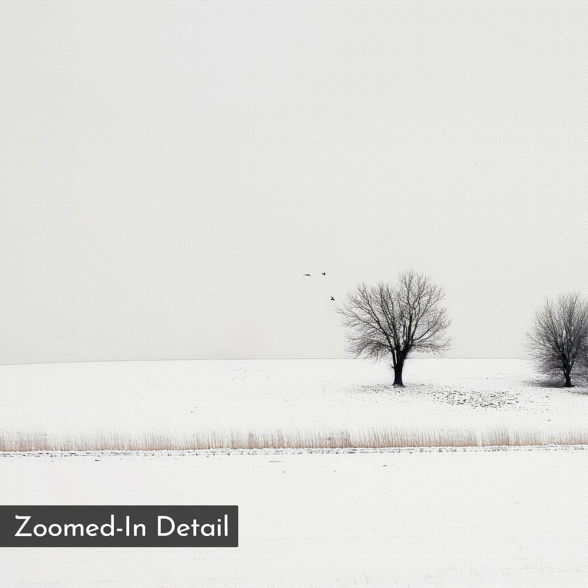 Winter Silence Canvas Art: A minimalist winter scene shows two bare trees on snow with four birds under a pale sky. “Zoomed-In Detail” text appears in the lower left, making it ideal for Nordic decor.