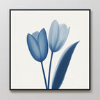 Cerulean Tulips Canvas Art - Square: A minimalist botanical print showing cerulean tulips with one leaf on a white background, framed in black.