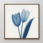 The Cerulean Tulips Canvas Art - Square showcases minimalist blue tulips on a white background in a dark frame, perfect for bringing Nordic Park-inspired tranquility to your space.