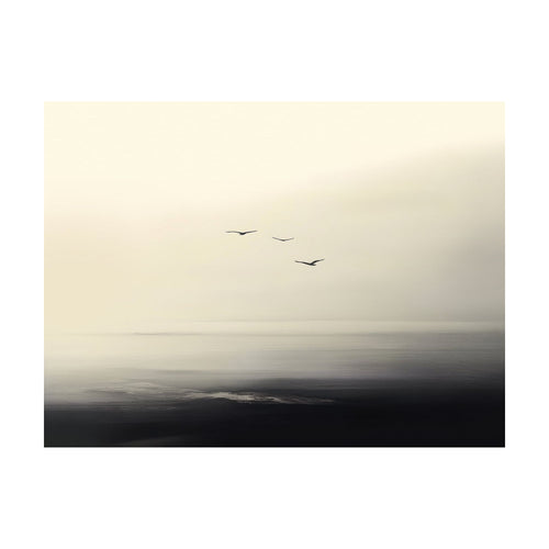 Above the Calm — Horizontal
