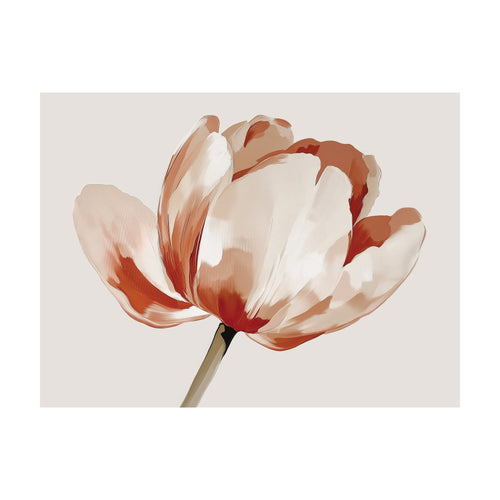 An artistic illustration of a Blush Peony, a single blooming flower with pale pink and muted orange petals, perfect as minimalist wall art.