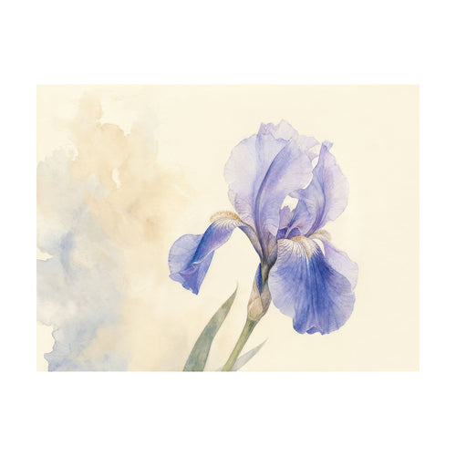 Bearded Iris — Horizontal