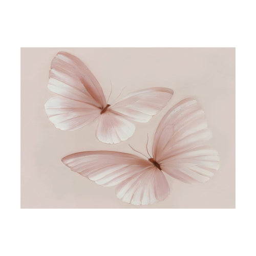 Two translucent, pale pink Blush Wings butterflies centered against a soft blush pink decor background.