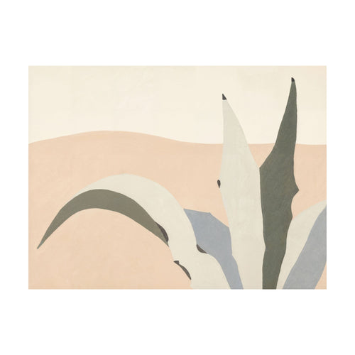 Arid Yucca — Horizontal