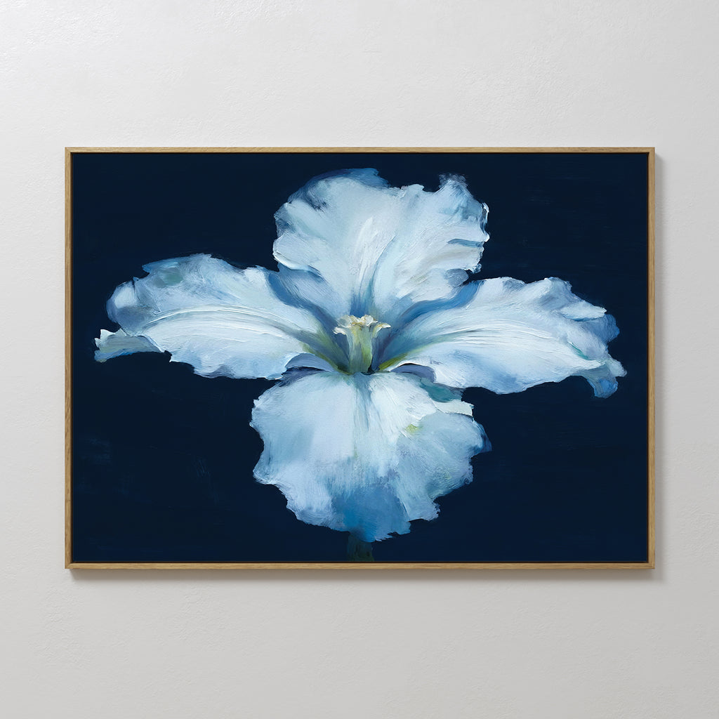 The Luminous Iris Canvas Art - Horizontal features soft, ruffled light blue petals blooming against a dark navy background, set in a sleek gold frame—an elegant and sophisticated wall art piece for any room.