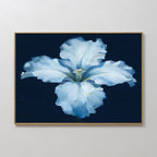 The Luminous Iris Canvas Art - Horizontal features soft, ruffled light blue petals blooming against a dark navy background, set in a sleek gold frame—an elegant and sophisticated wall art piece for any room.