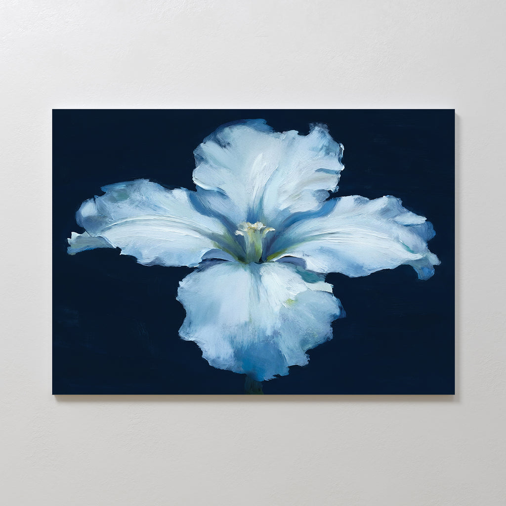 The Luminous Iris Canvas Art - Horizontal features soft, ruffled petals centered on a dark blue background, creating an elegant and captivating wall accent for any space.