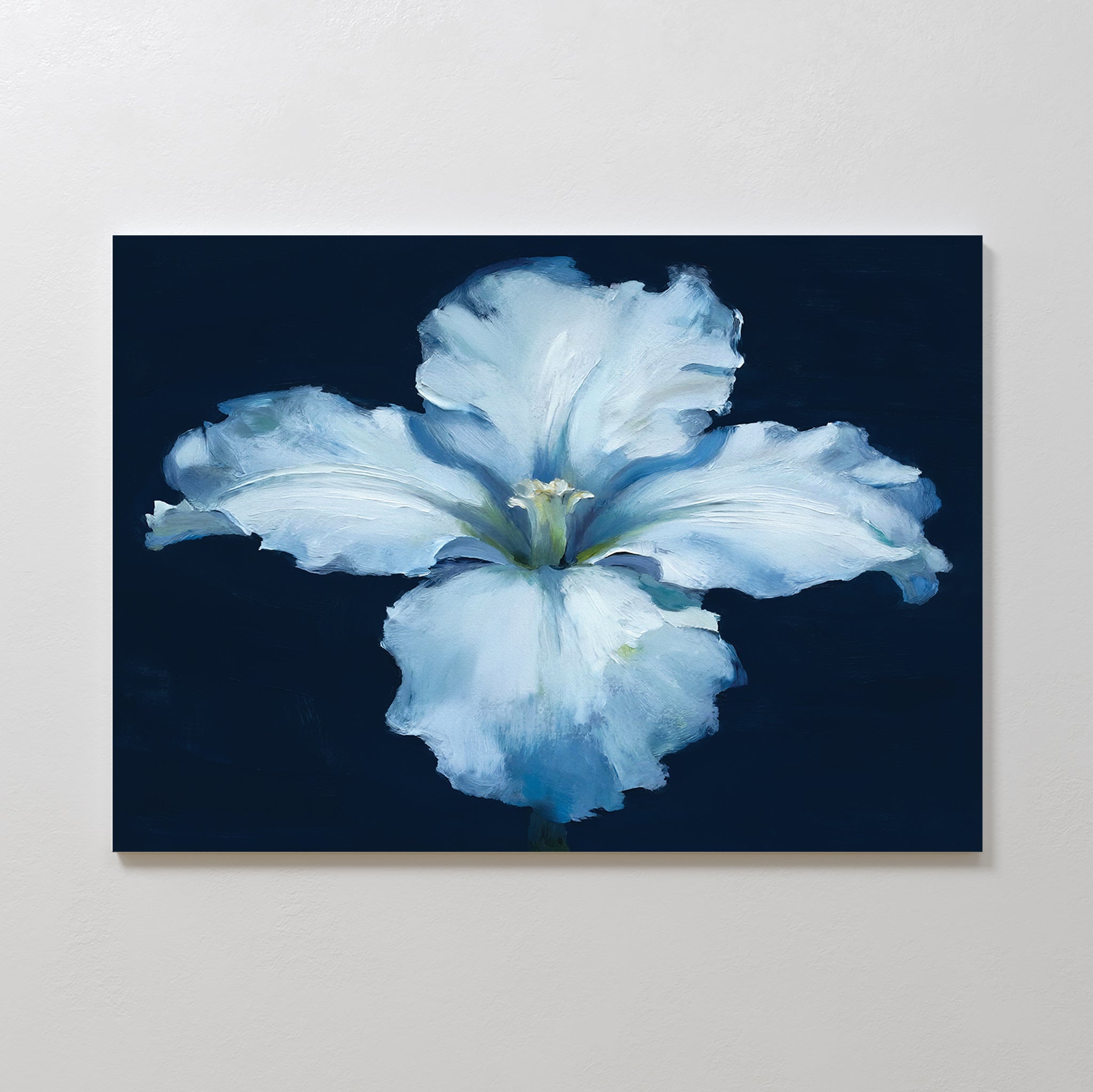 The Luminous Iris Canvas Art - Horizontal features soft, ruffled petals centered on a dark blue background, creating an elegant and captivating wall accent for any space.