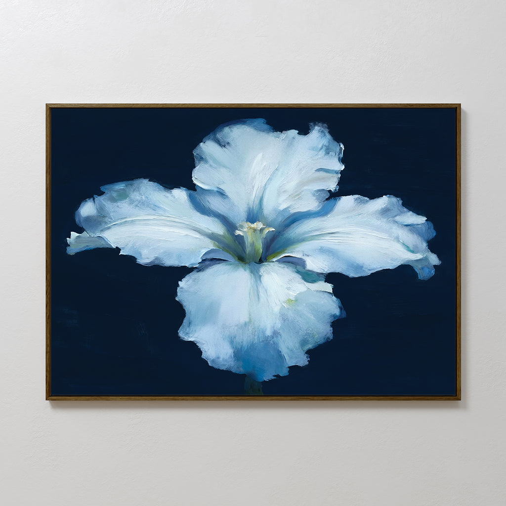 The Luminous Iris Canvas Art - Horizontal features pale blue petals unfolding on a dark navy background. This elegant framed print beautifully enhances any plain white wall.