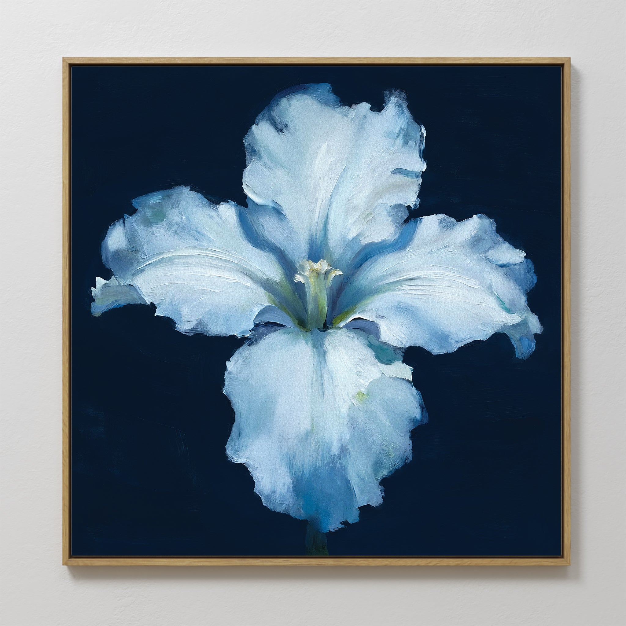 The Luminous Iris Canvas Art - Square features a luminous white iris with subtle blue tones set against a dark navy background, elegantly displayed on a light wall.