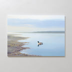 The Peaceful Duck Haven Canvas Art - Horizontal features a duck swimming by the shore in Nordic Park, with soft water reflections and a hazy sky, making it ideal serene wetland print decor.