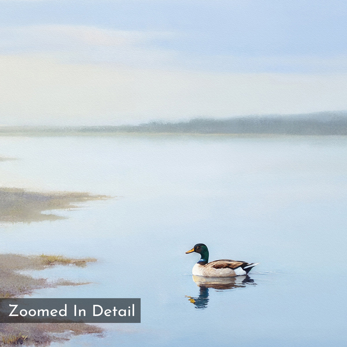 A mallard glides solo on a calm lake near misty trees in this serene wetland print, ideal for Nordic Park or mallard wall art. "Zoomed In Detail" appears in the corner. Product: Peaceful Duck Haven Canvas Art - Horizontal.