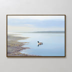 The Peaceful Duck Haven Canvas Art - Horizontal shows a duck gliding on a tranquil lakeshore under soft clouds and blue sky reflections—ideal for bringing relaxing Nordic Park vibes to your space.