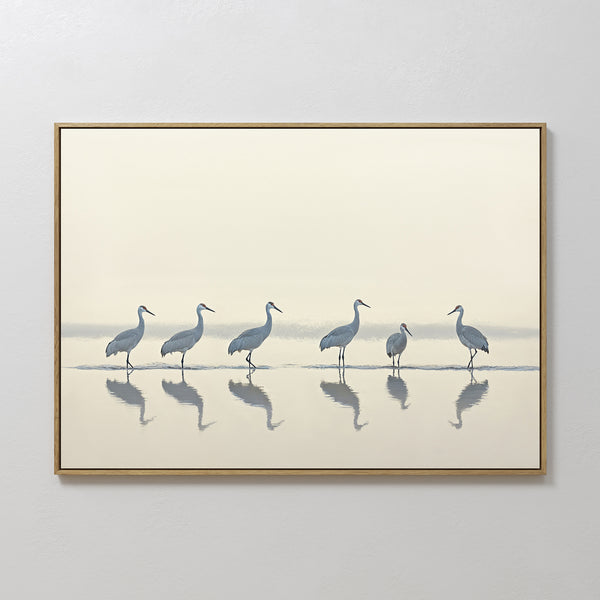 The Sandhill Procession Canvas Art - Horizontal features six graceful cranes in shallow water with their reflections, set against a gentle background—ideal for adding serene elegance to any wall.