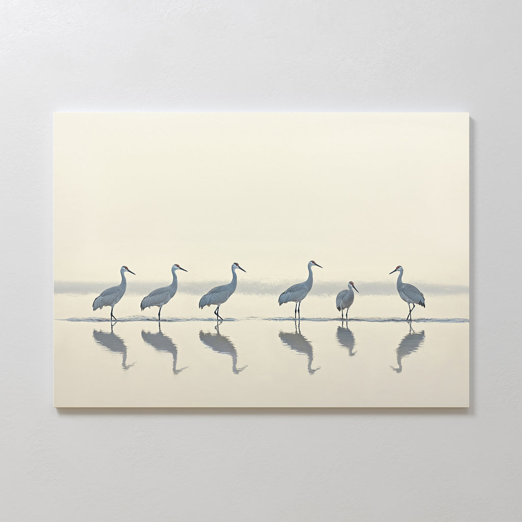 Sandhill Procession Canvas Art - Horizontal features six elegant cranes standing in shallow water with mirrored reflections and a soft, muted background—creating serene wall art to enhance any space.