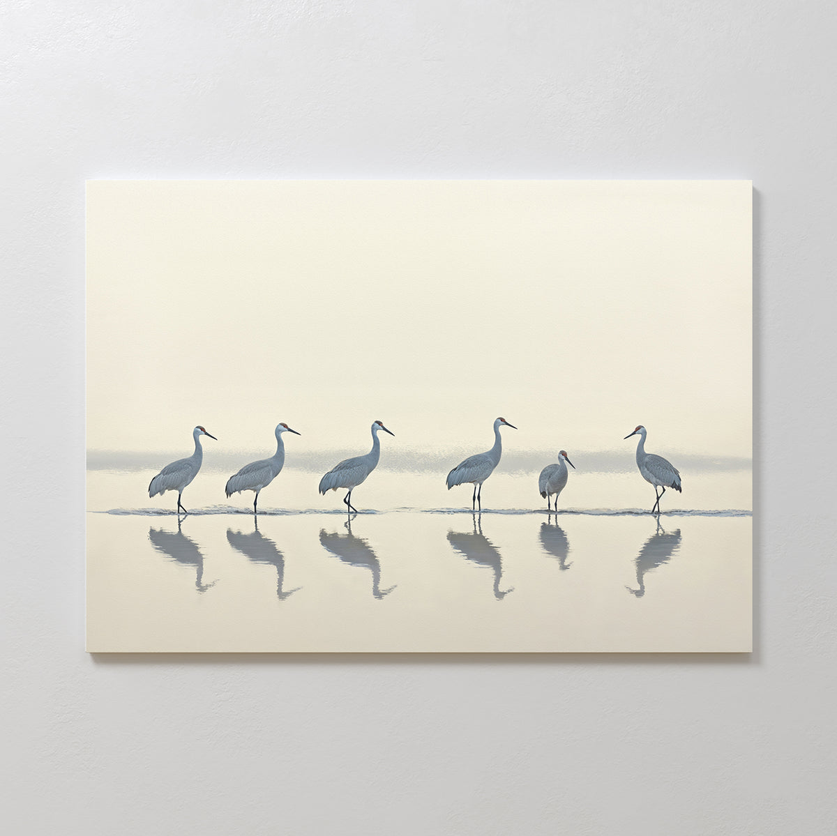 Sandhill Procession Canvas Art - Horizontal features six elegant cranes standing in shallow water with mirrored reflections and a soft, muted background—creating serene wall art to enhance any space.