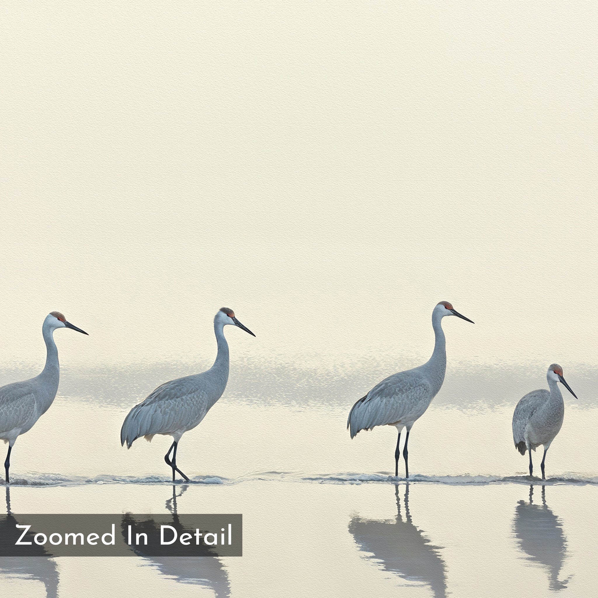 Four sandhill cranes stand in shallow water with subtle reflections, set against a pale sky. "Zoomed In Detail" is overlaid in the lower left, making this Sandhill Procession Canvas Art - Horizontal perfect for a Nordic Park-inspired space.