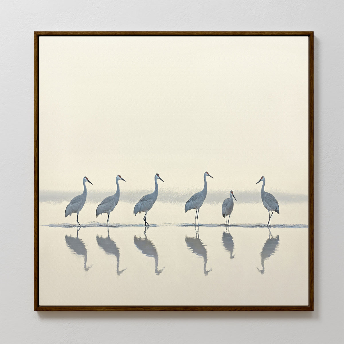 The Sandhill Procession Canvas Art - Square features six cranes standing in shallow water with reflections, set against a soft, neutral background for a peaceful, minimalistic Nordic Park vibe.
