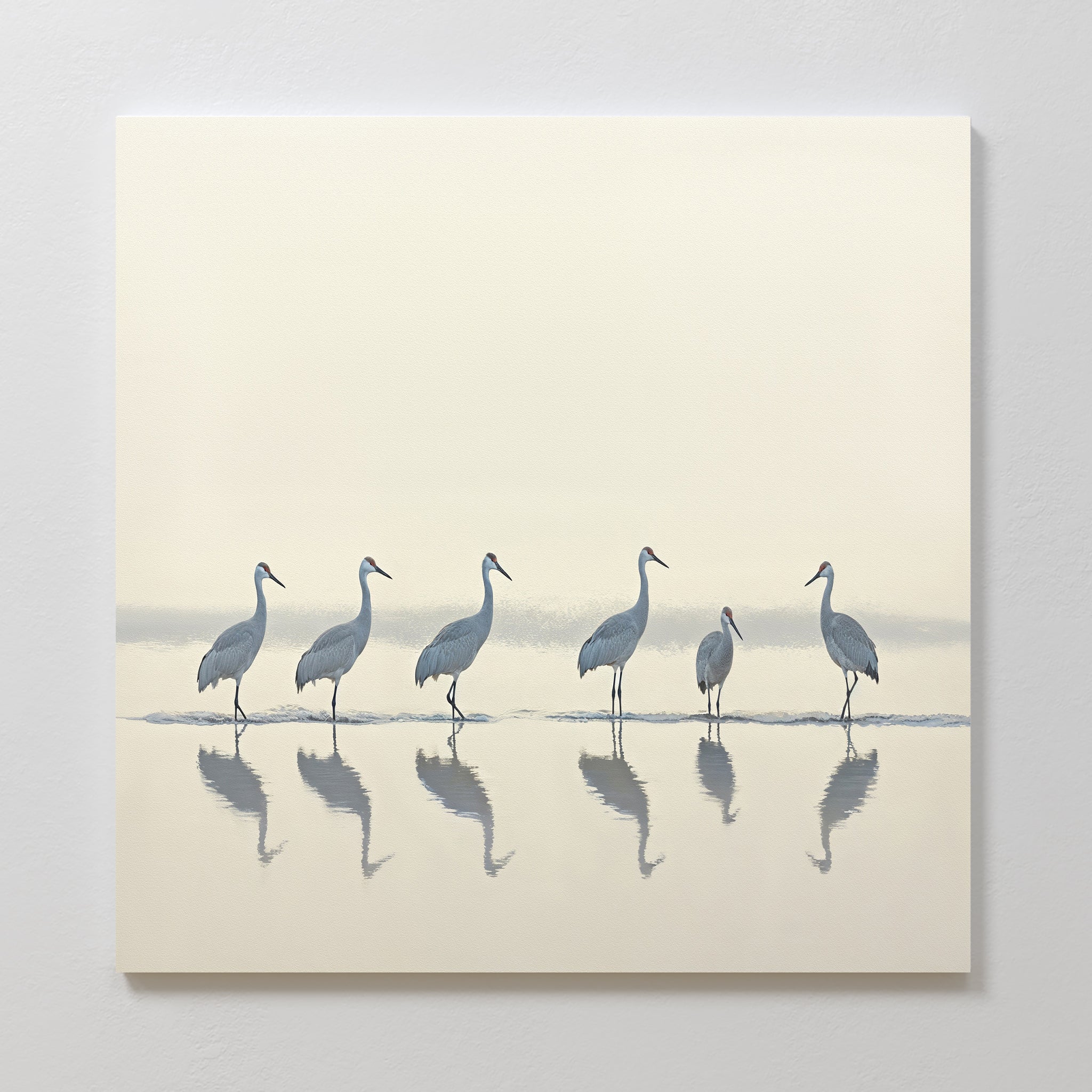 The Sandhill Procession Canvas Art - Square features six cranes standing in shallow water with their reflections, set against a soft, light background for a calm, minimalist look—perfect for bringing tranquility to your space.