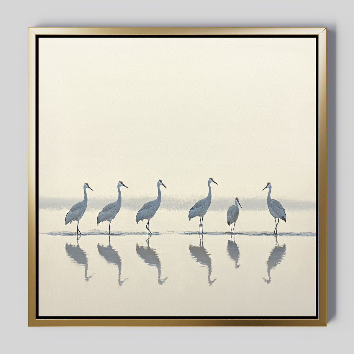 The Sandhill Procession Canvas Art - Square depicts six cranes standing in shallow water with shimmering reflections, set against a soft, pale Nordic Park-inspired background in a serene framed wall art piece.
