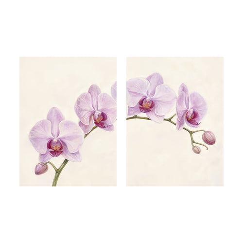Arching Orchid — Set of 2
