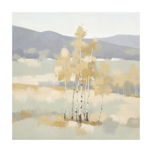 Birch Grove — Square