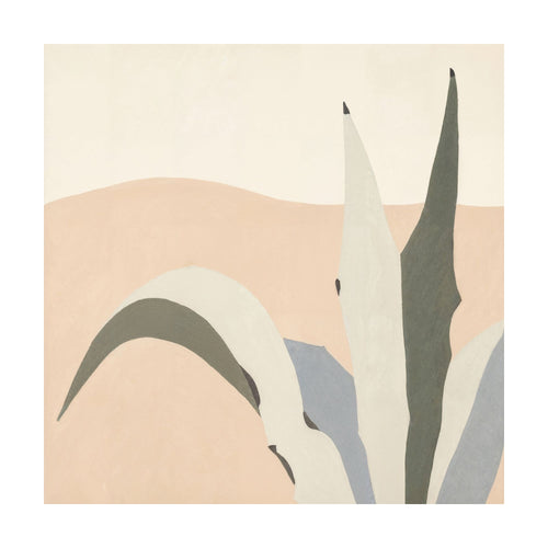 Arid Yucca — Square