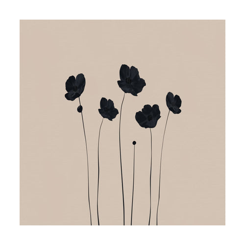 Botanic minimalist illustration of five dark, thin-stemmed flowers on a light beige background.