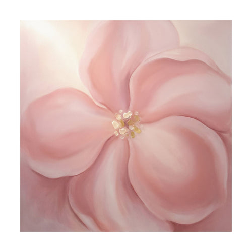 Soft-focus Blushing Magnolia painting featuring a blushing blossom with gold accents in the center, styled as romantic wall art.